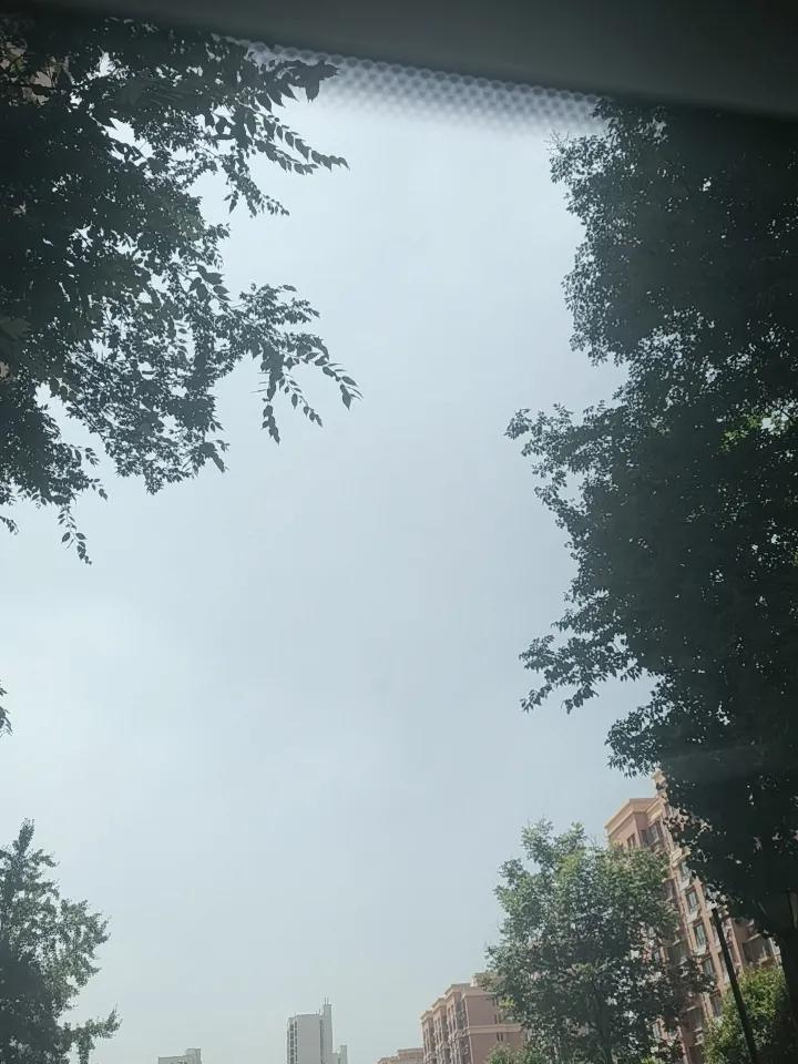 今年第9号台风逼近浙江，请全省人民做好台风准备工作，尽量不要外出。北京为什么天天