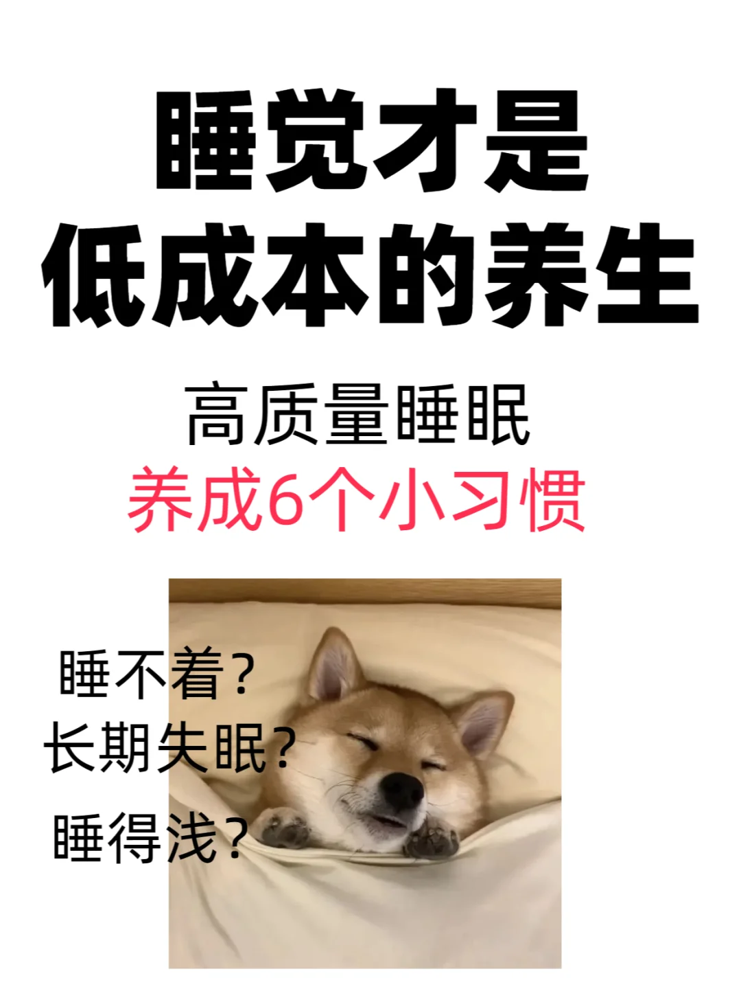 好好睡觉是性价比最高的养生方式