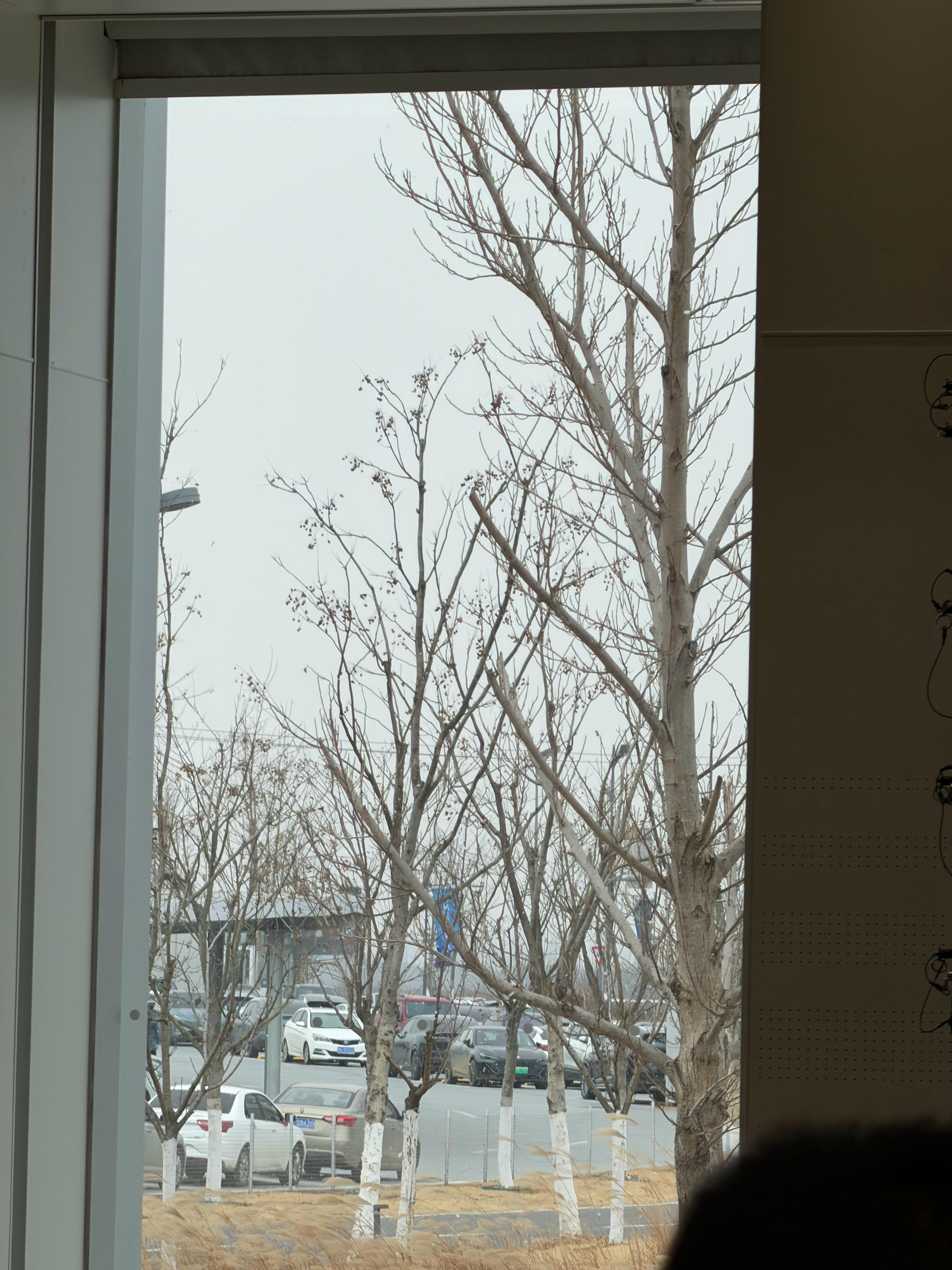 瑞雪兆丰年，蔚来F2工厂下雪了。蔚来蔚来 合肥·蔚来体验中心(合肥新桥产业园)