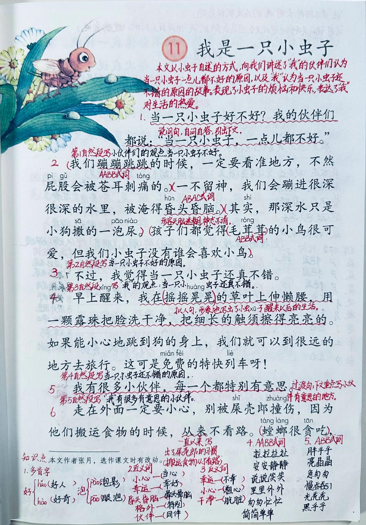 二下第11课《我是一只小虫子》课堂笔记