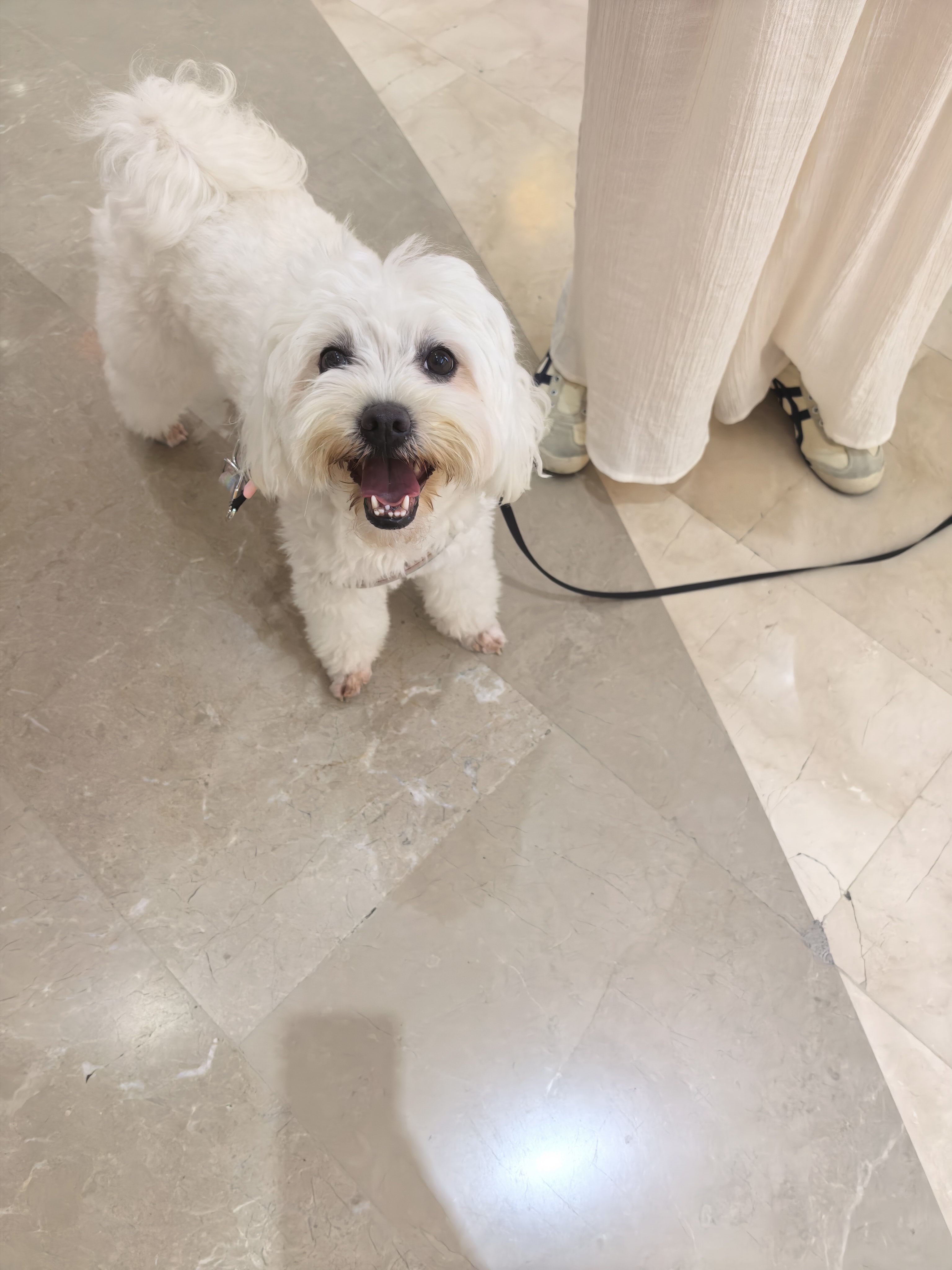 嘿嘿小可爱 