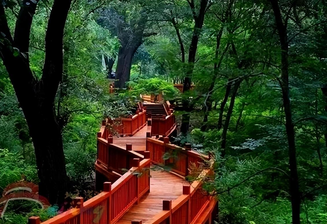 晒图笔记大赛夏天最适合去山里了