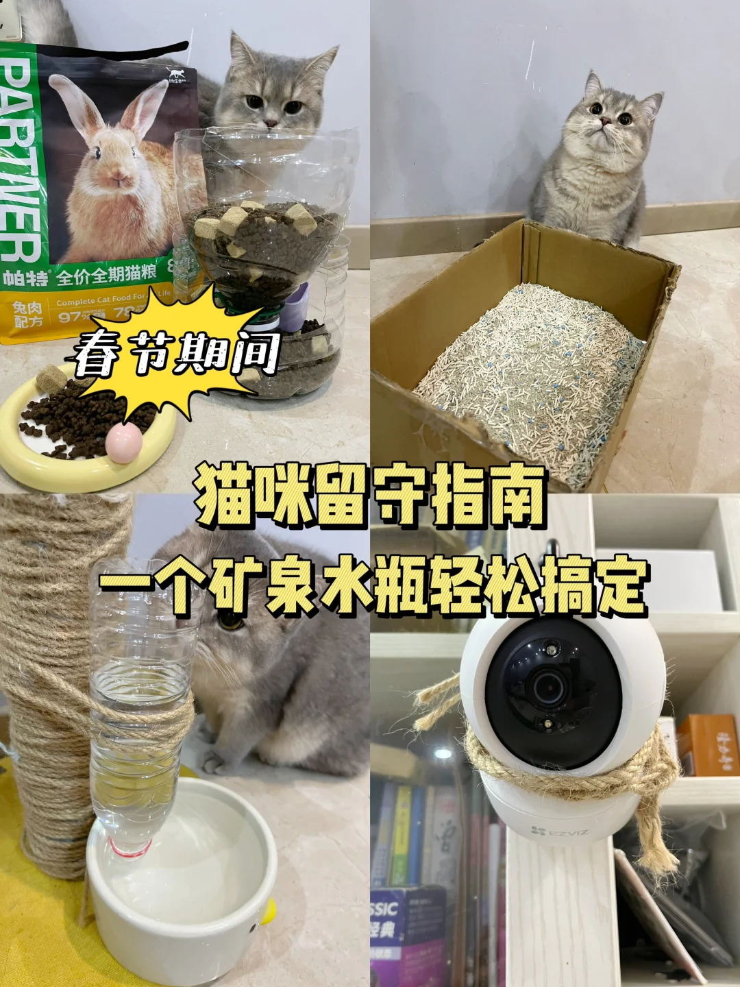 春节猫咪留守指南，赶紧抄作业！！