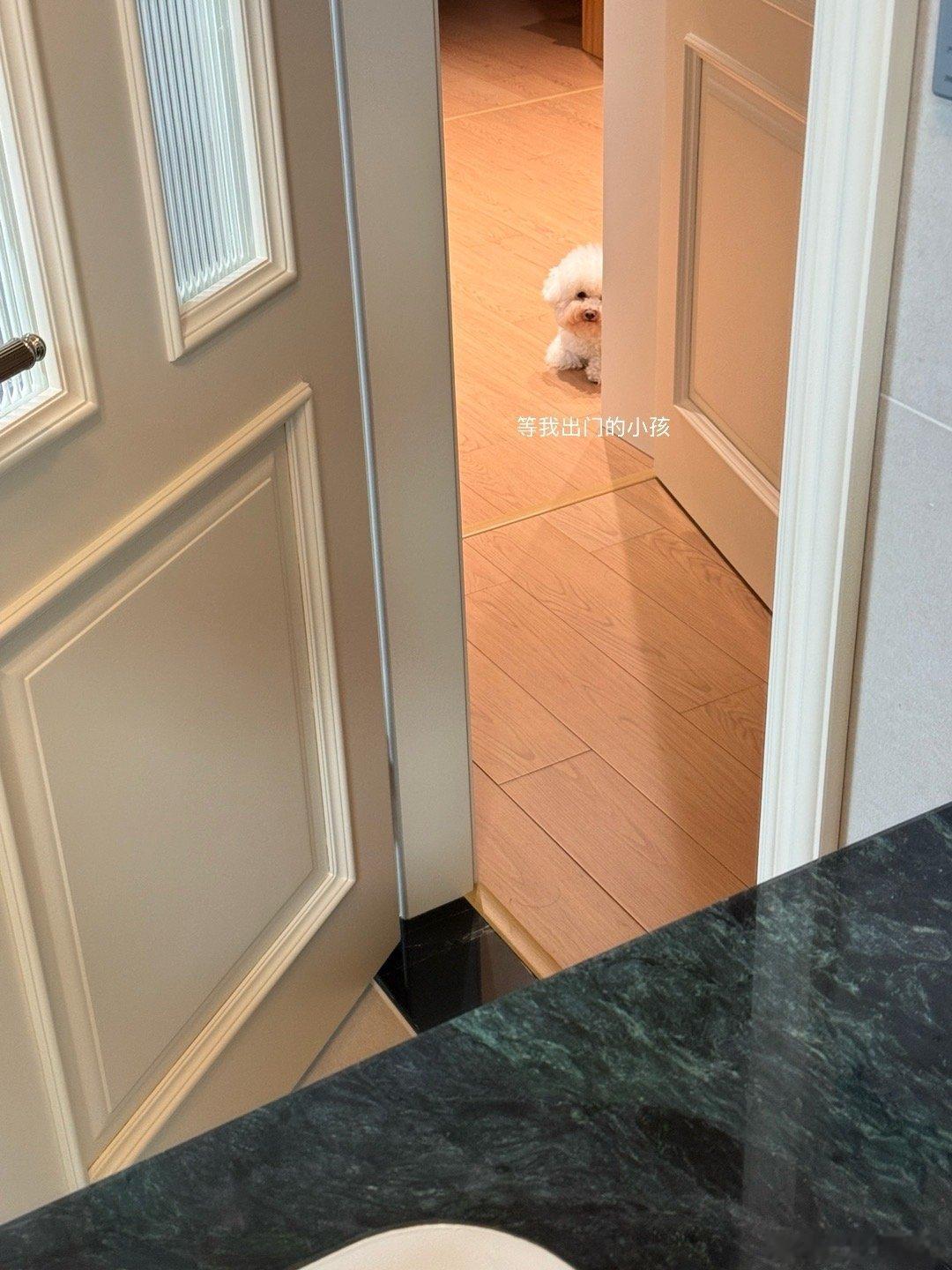 我不管～未来～会怎么样～ ​​​