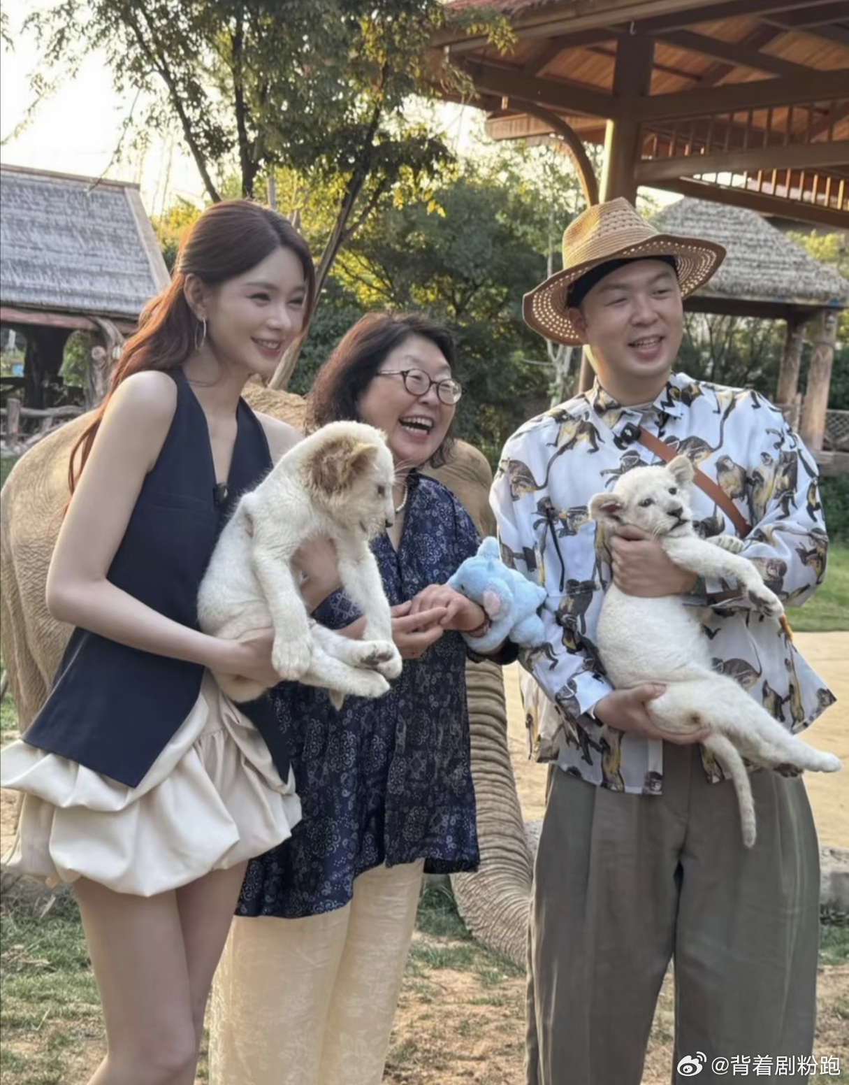 沈梦辰 到底哪个是海涛谁敢说杜海涛不是涛妈亲生的！真的太像了，简直一个模子里刻出