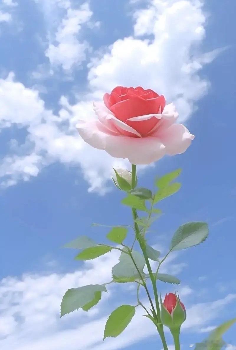 上午10:21，受外围影响，A股早盘低开震荡 ，接下来怎么看？现在是上午的10: