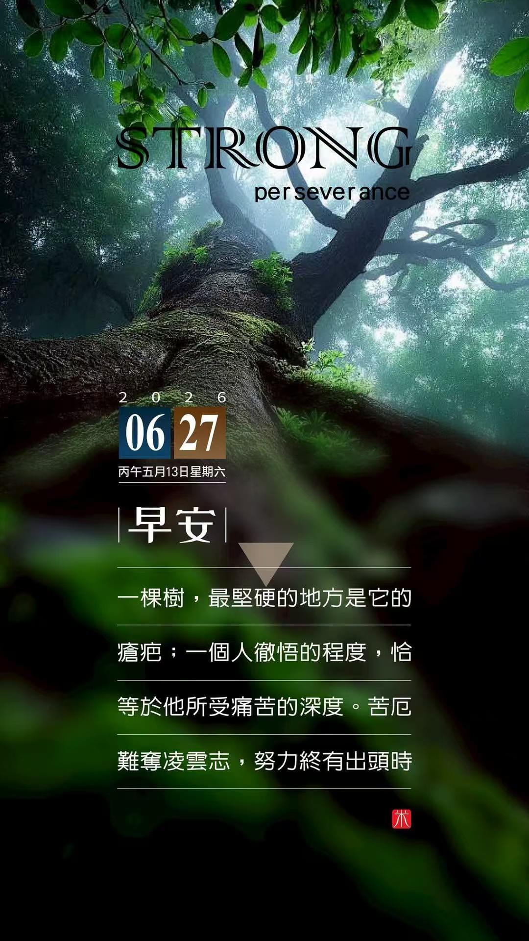 白玉兰我不知道你们咋了 获奖的都在我意料之中，这要是有彩票我就发了。我就是觉得最