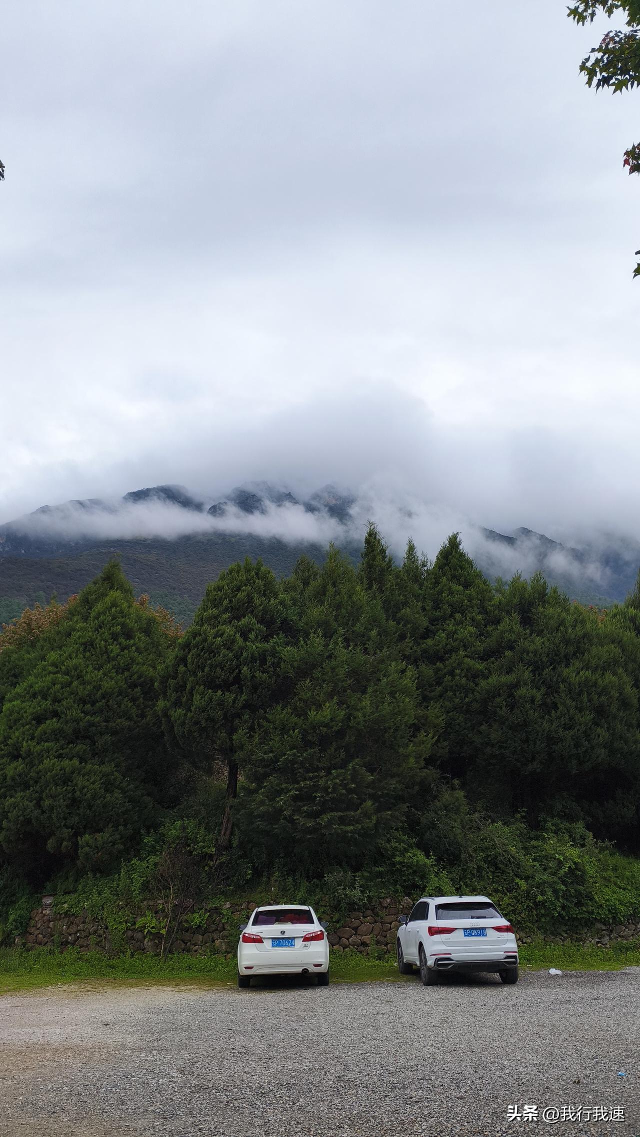立秋后真是一场秋雨一场寒，台风“白海豚”携风雨横扫南京，这天气是真凉了。昨天还热