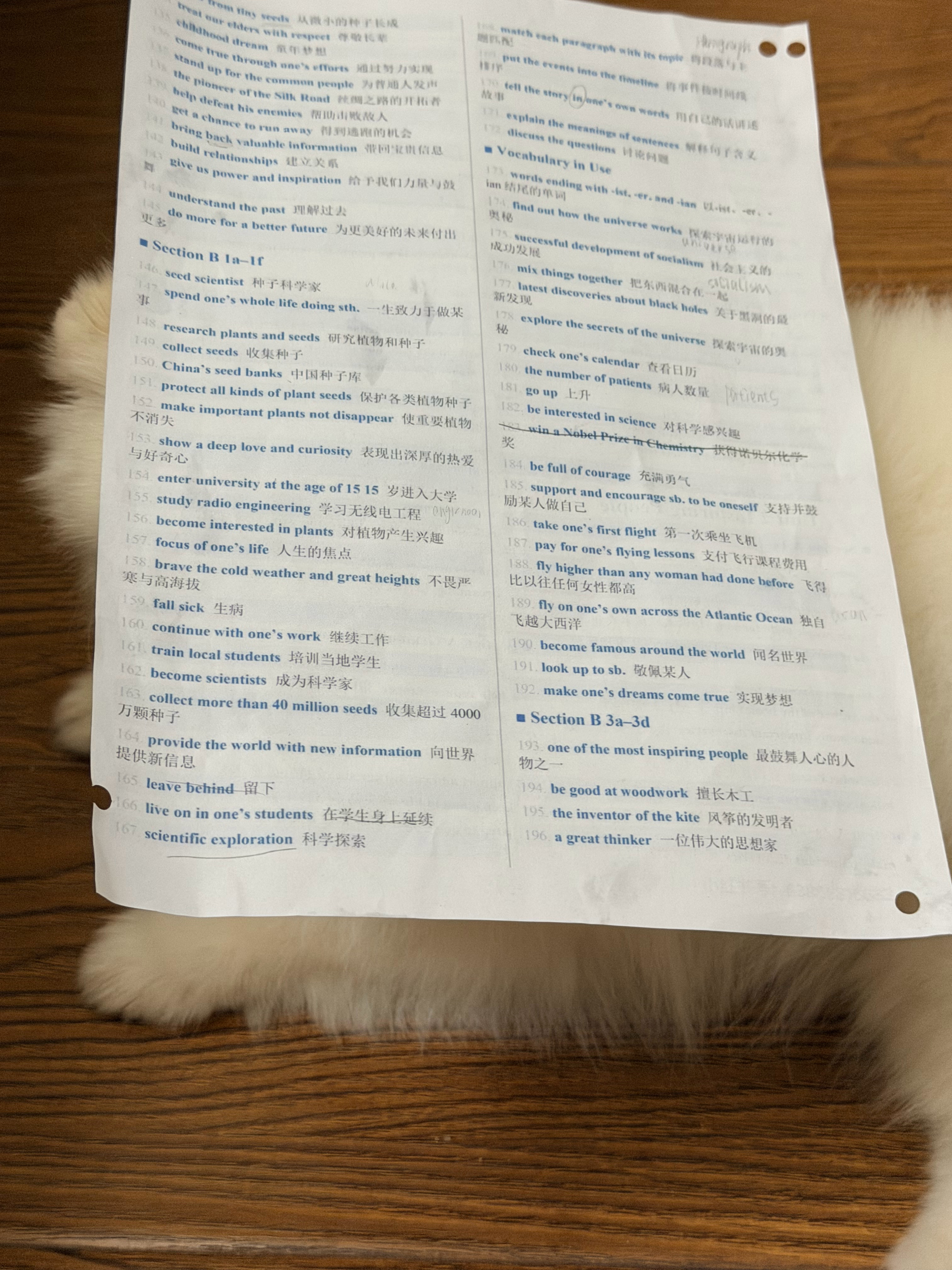 起床啦，小斗已经开始学英文了 