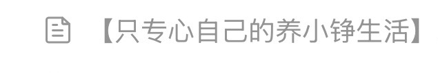 严肃执行