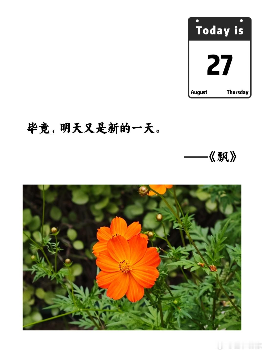 毕竟，明天又是新的一天。——《飘》 ​​​