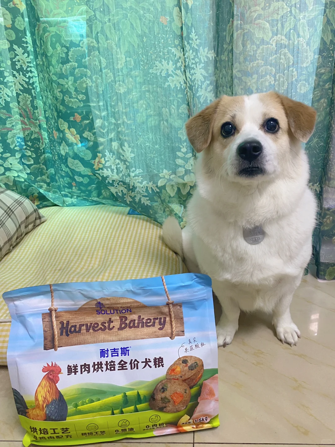 已经坐好等开饭