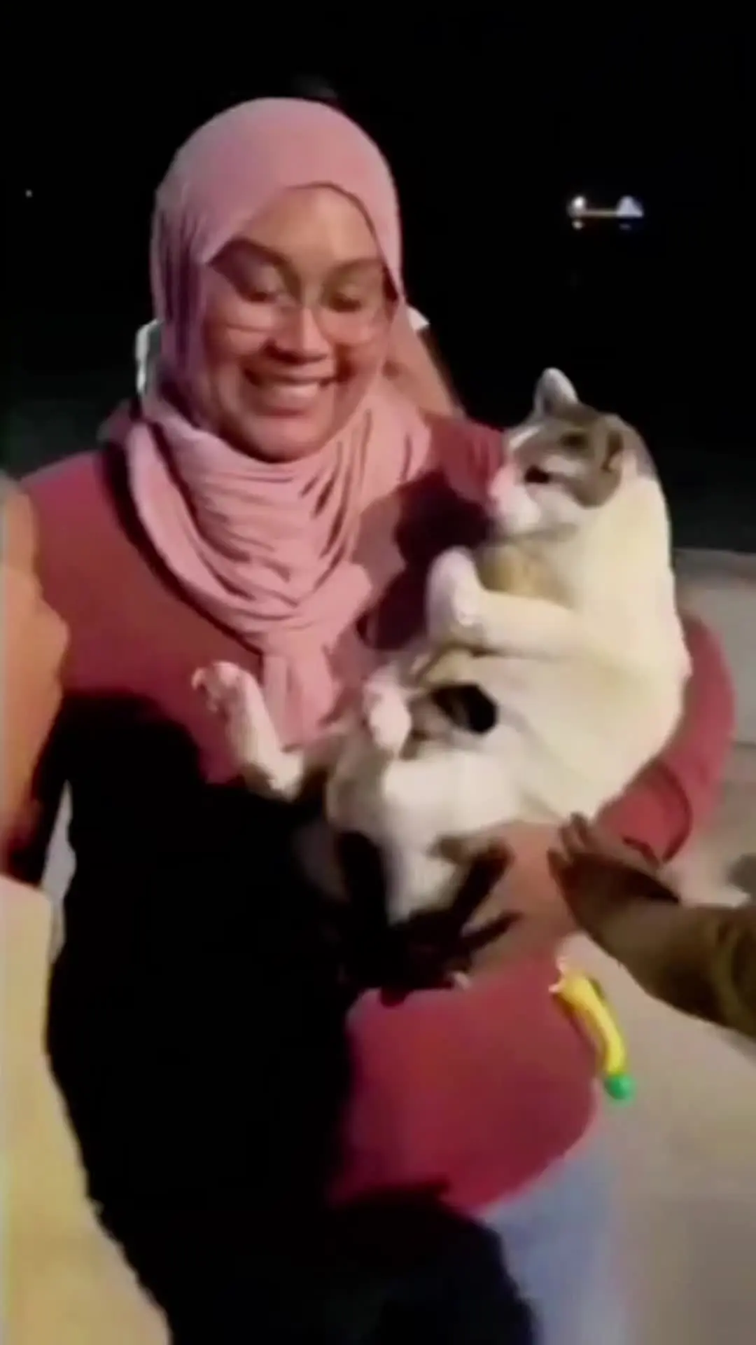 一个外国大妈抱着一只可爱的小猫在广场上，好多人在逗小猫，小猫的行为好像...