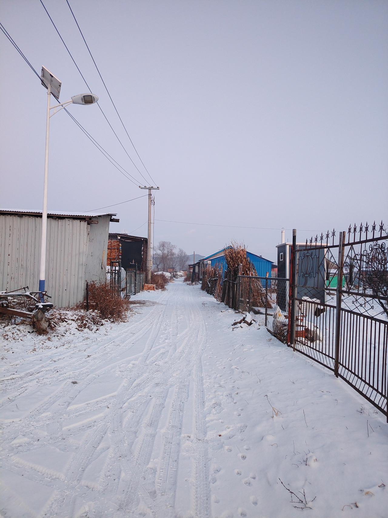 冬日生活打卡季我们家门前的路