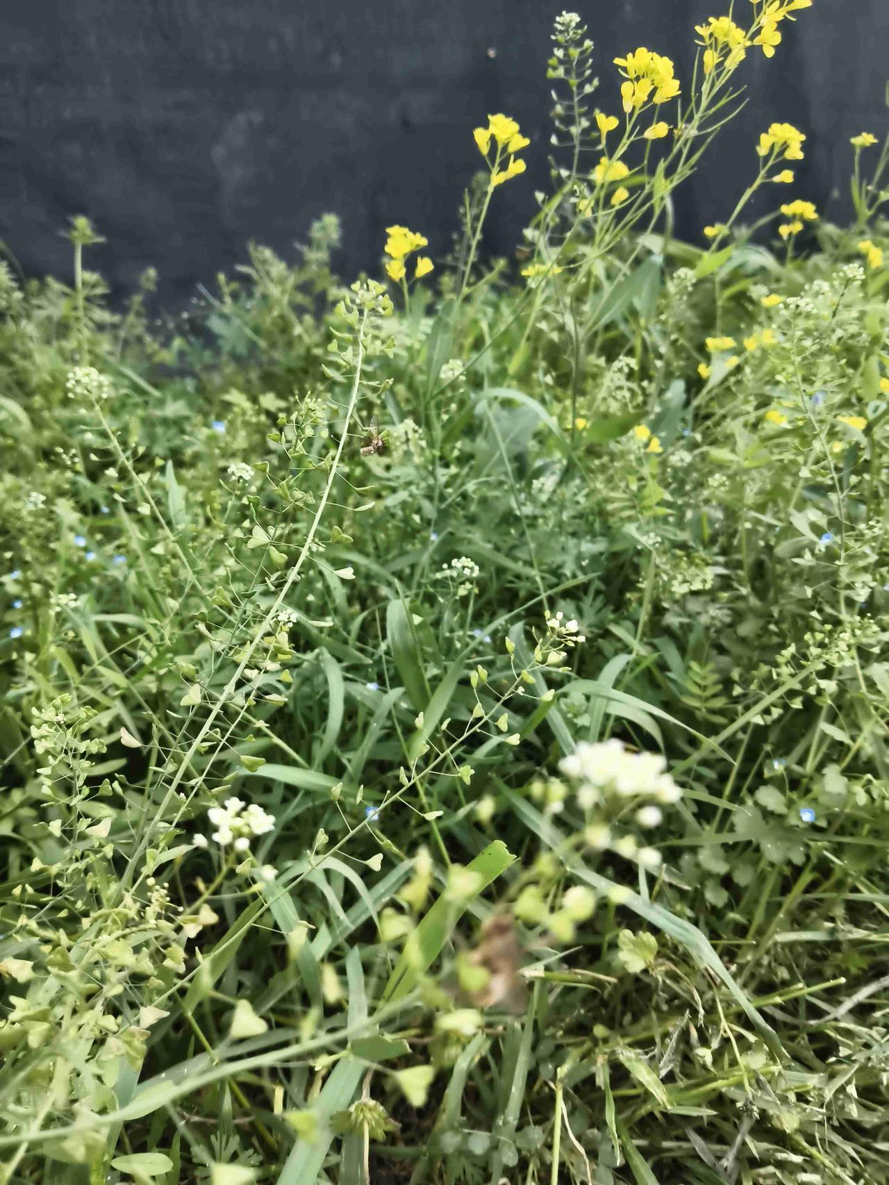 我的今日状态：😁轻松愉快
我这里的天气：☀️晴天