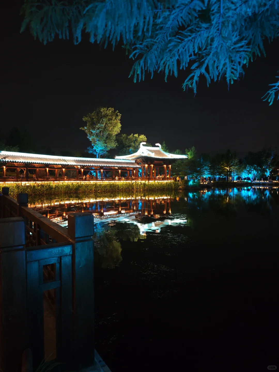 想和你交换一张拍到的夜景图😁❗来吧❗