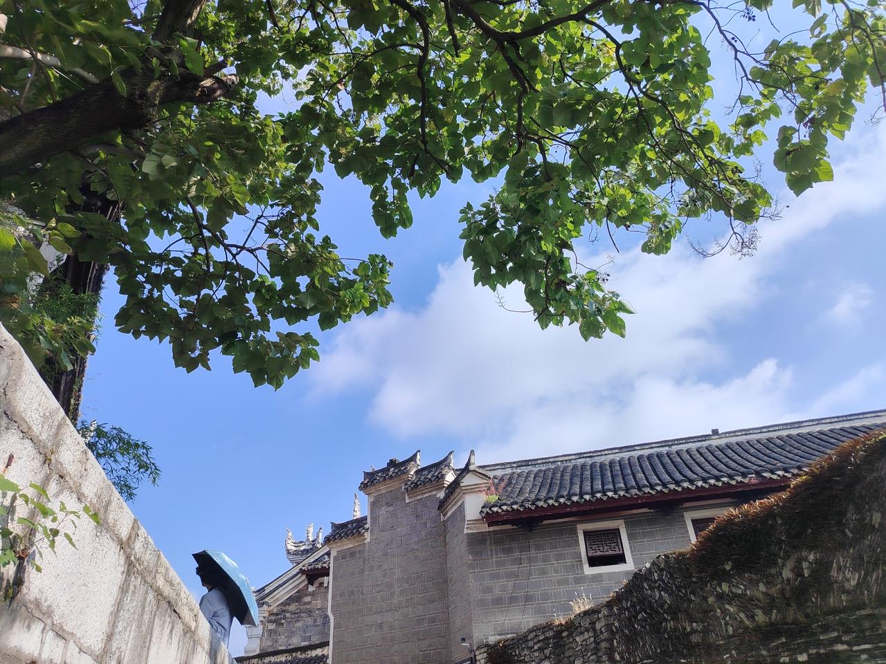 《蛛网悟道》
雨后蛛网破碎，蜘蛛屡次攀爬皆坠。一人叹其徒劳，日渐消沉；另一人悟其