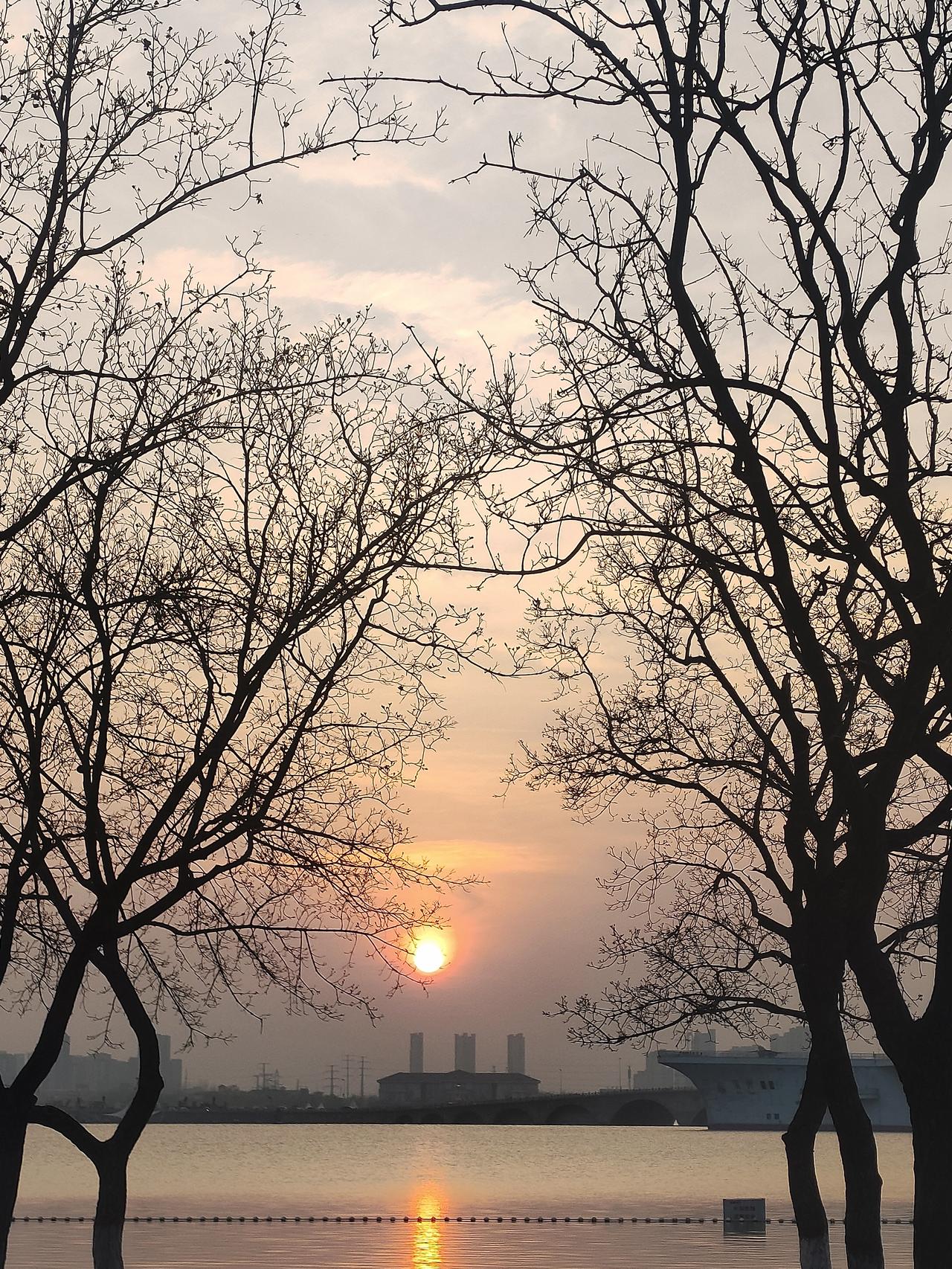 分享你随手拍的花