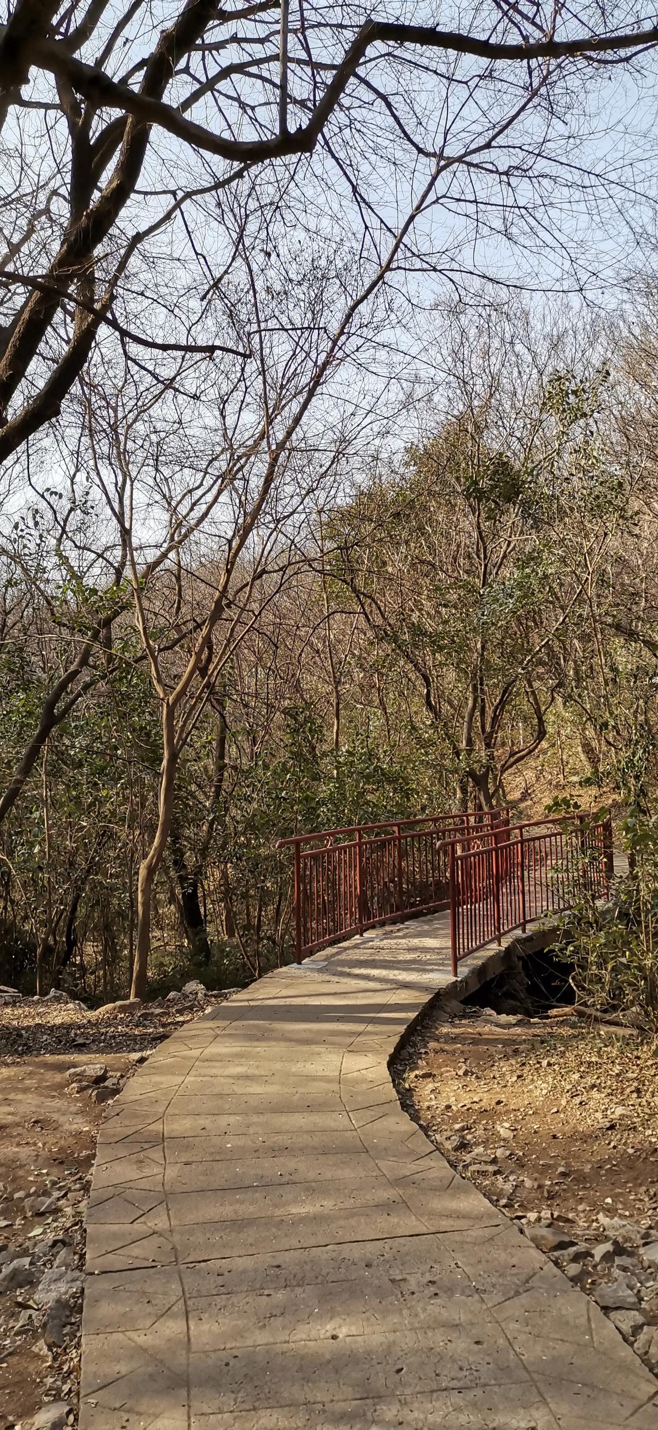 分享手机里最美风景照