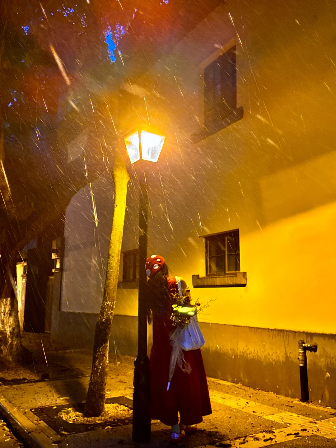 以为梧桐大道已经够美了！直到…live😭