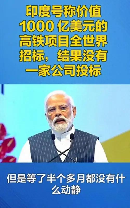 越南又要折腾南北高铁了，但越南首富撤资不干了，只能说本国资本并不看好这一项目，就