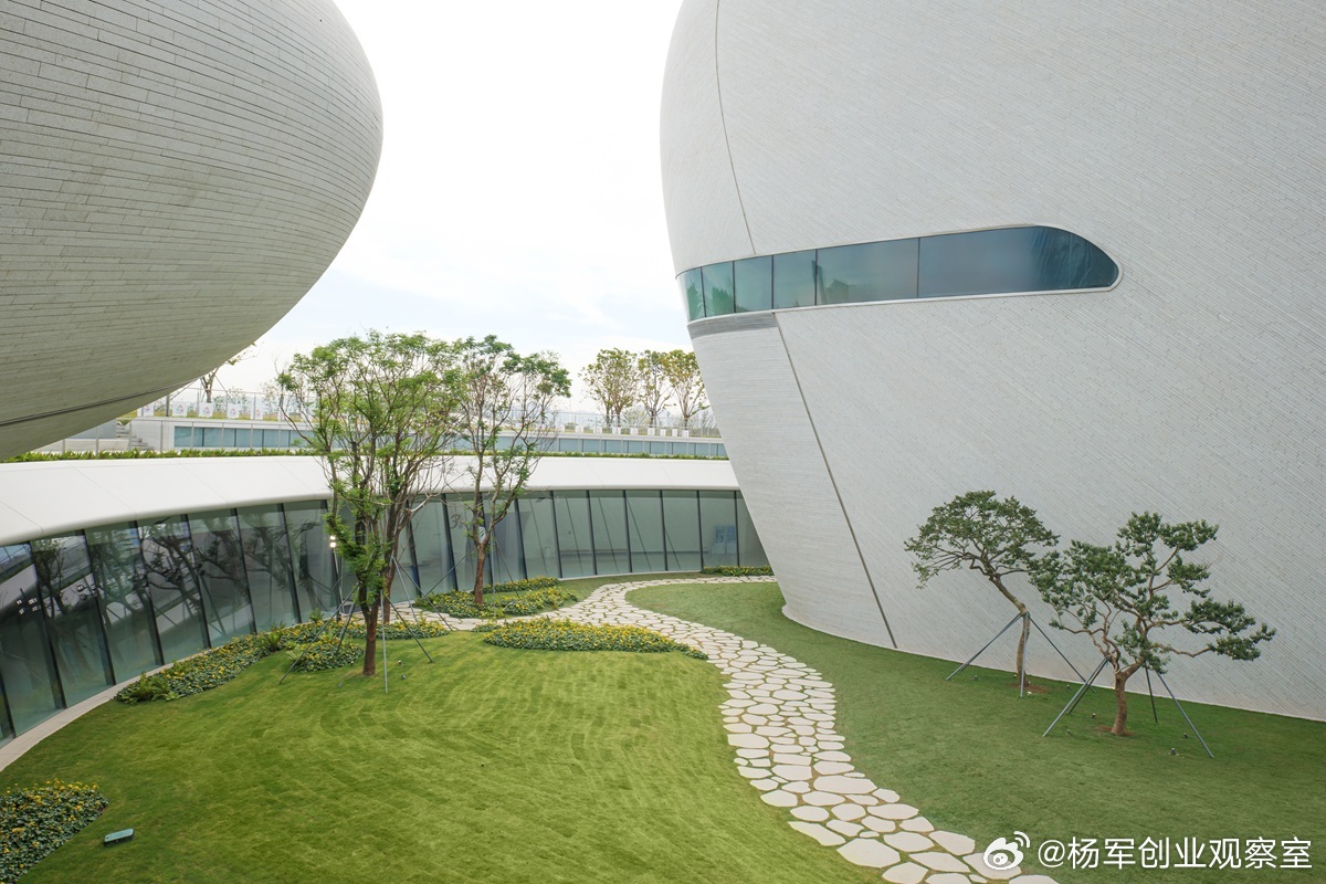 杨老师，我们公司刚成立，也没有什么估值呀！商标、技术专利、人才、数据等无形资本也