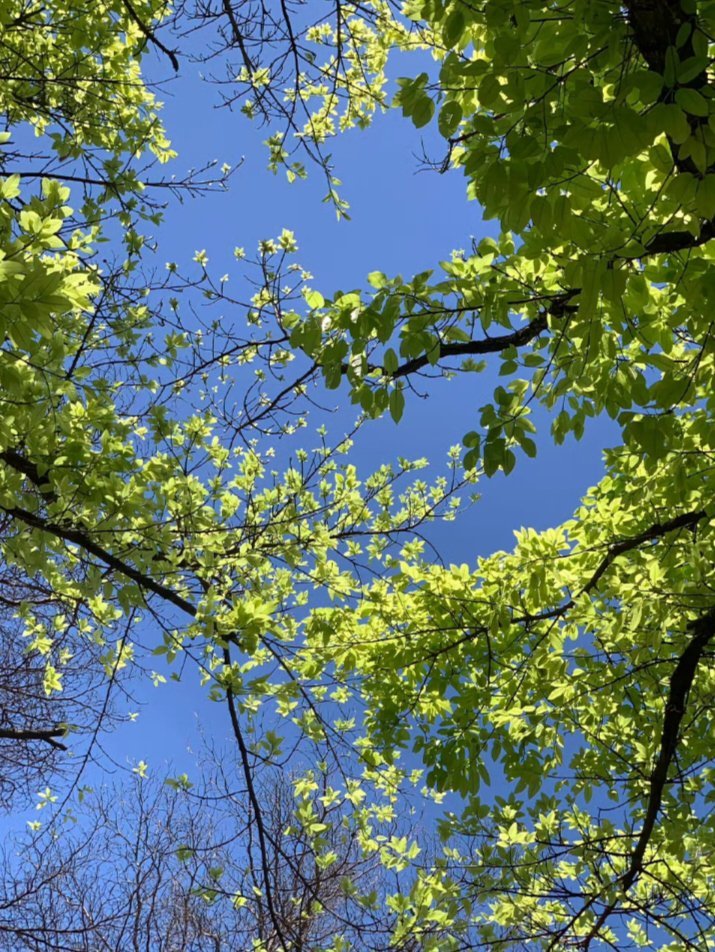中午好，把疲惫先放一放，好好犒劳下辛苦的自己呀！ 