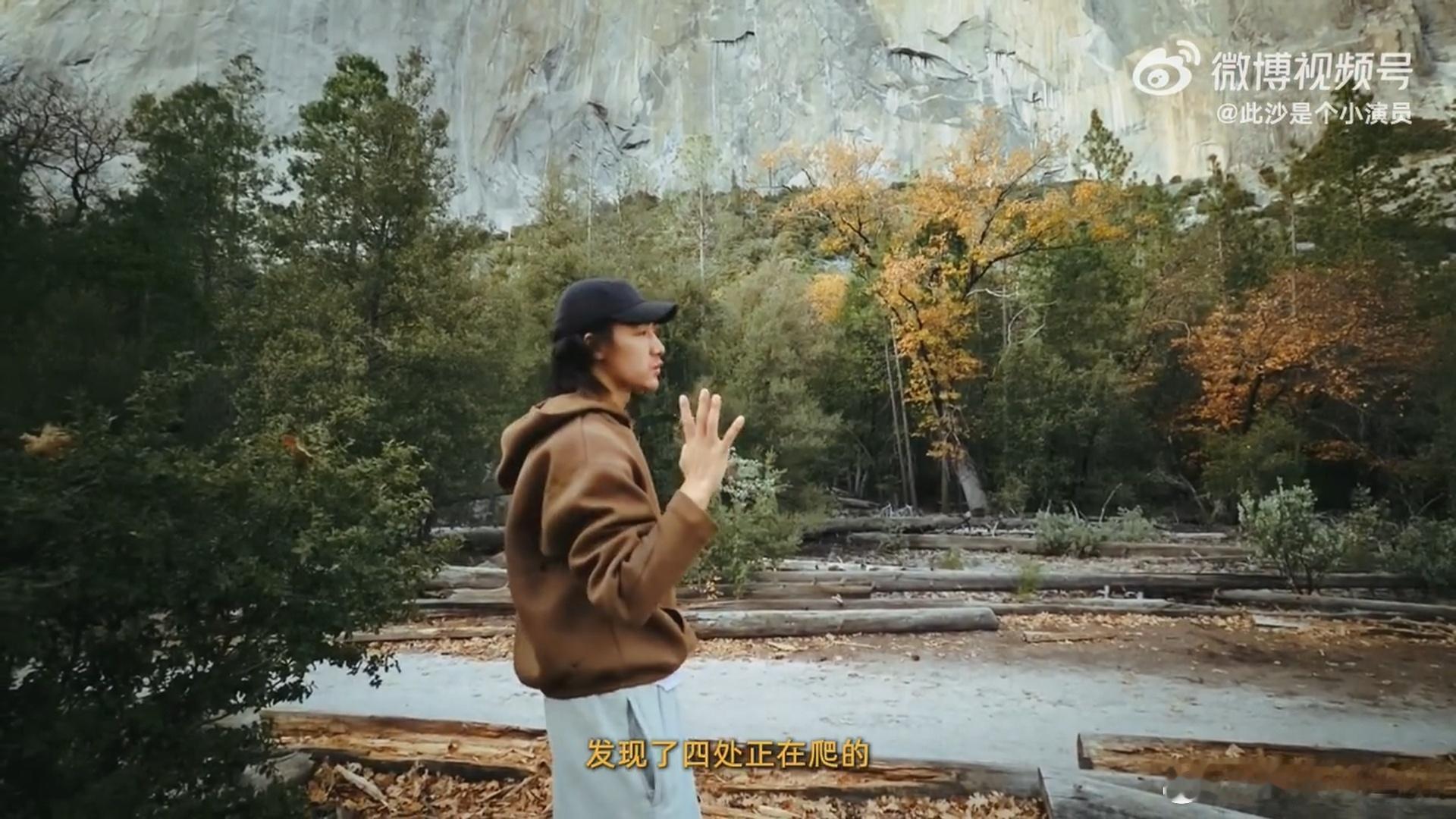 此沙这种生命力看一遍心情好一天