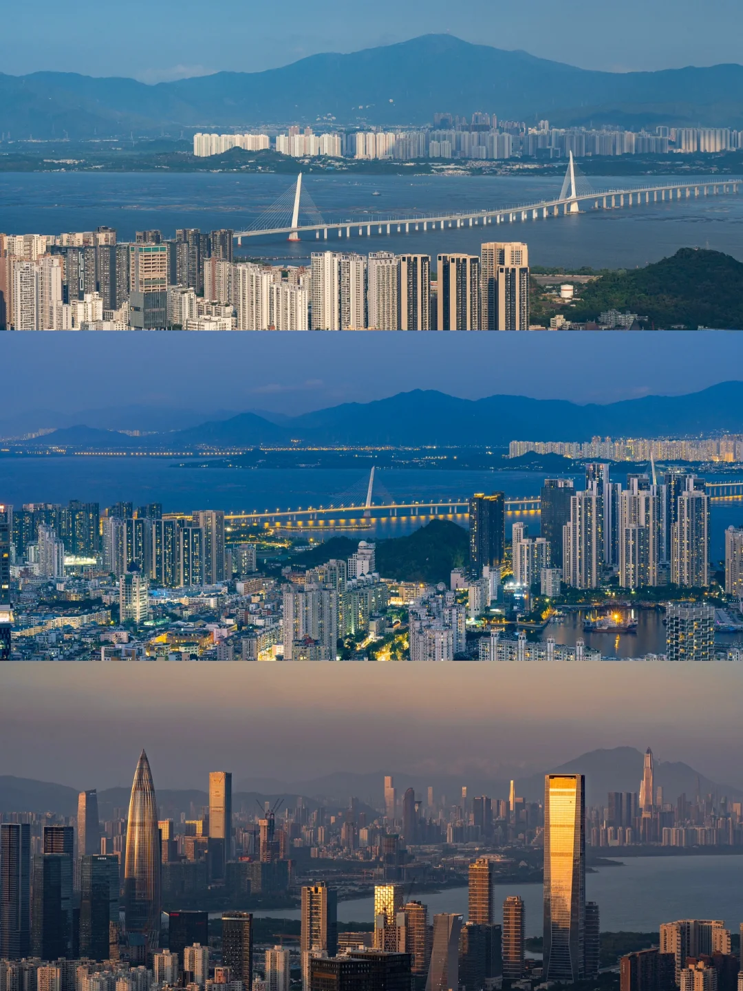 深圳必去的公园，我心中的“爱乐之城”‼️