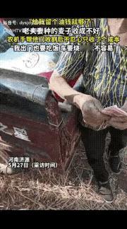 破防了！河南济源，一开收割机男子给一对老夫妻收完麦子后，见收到的麦子的数量，决定