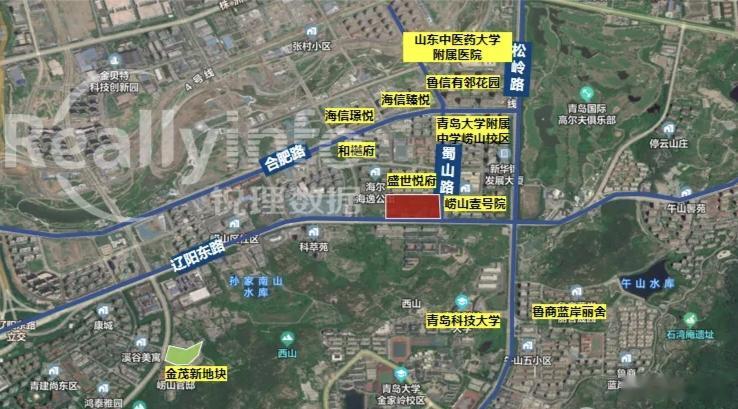 张村河南岸，好久没出新地了，一出就是个王炸。辽阳东路地块，特点容积率低、地价高。
