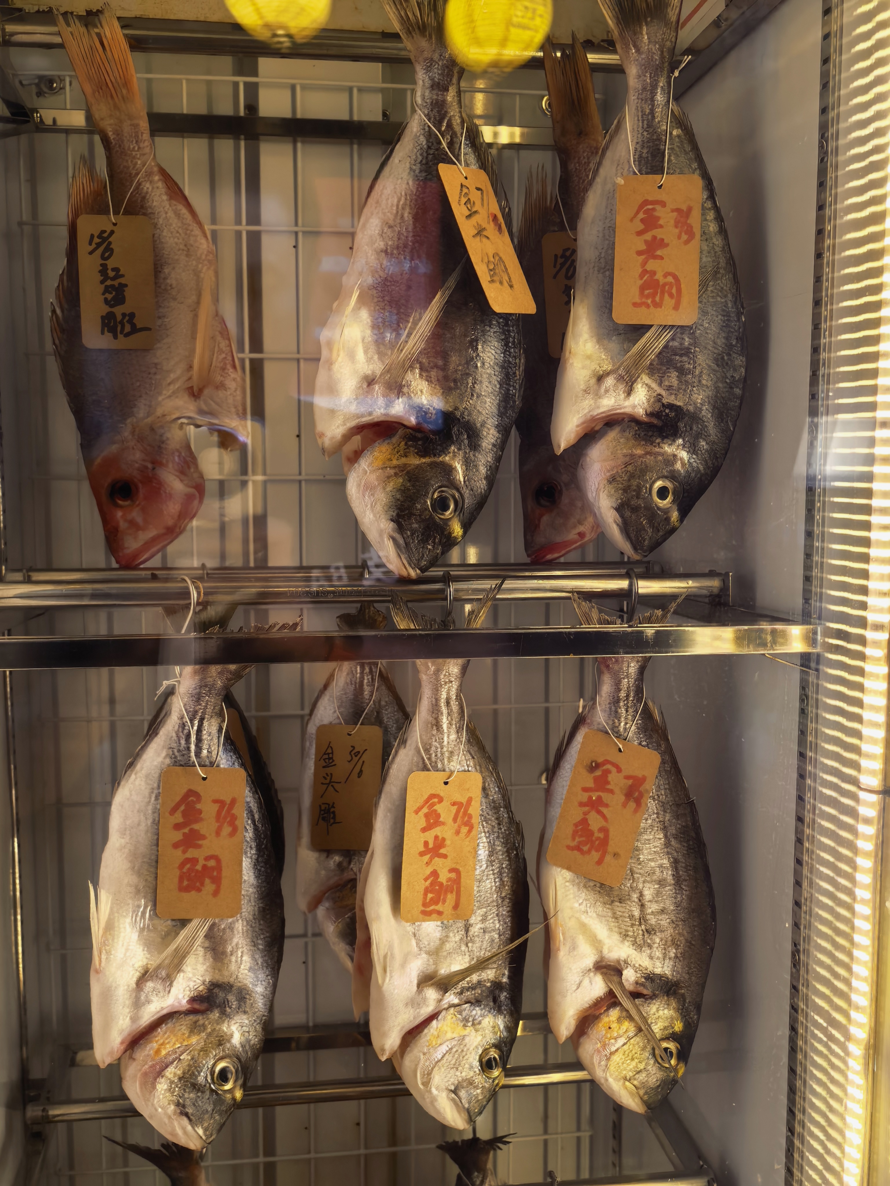 宝藏鱼，吃哪条好呢？