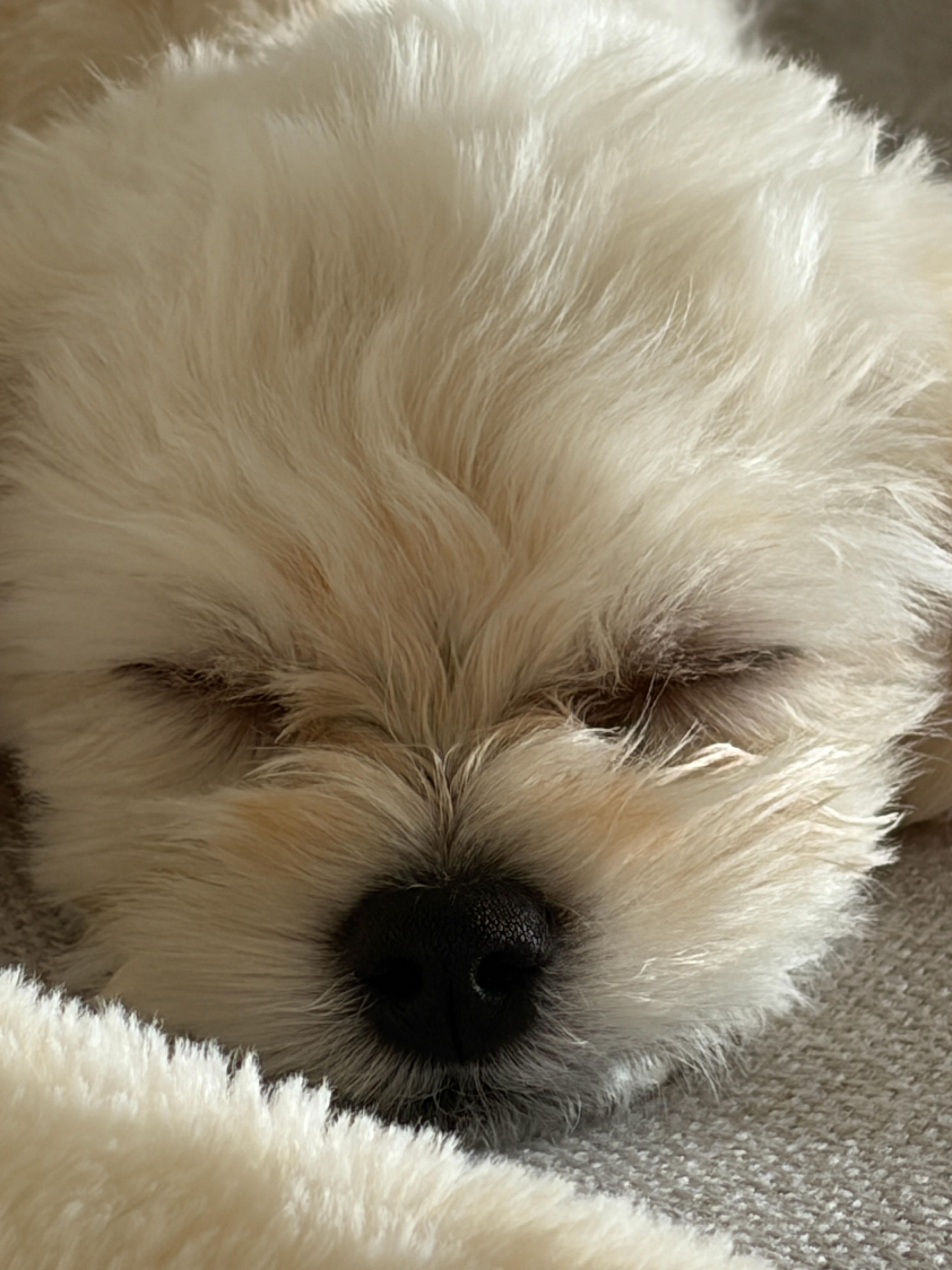 睡觉💤 ​​​