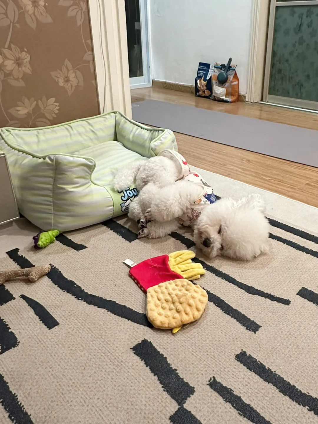 好喜欢看小狗睡觉啊有没有