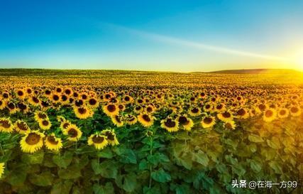 人民代表必须接受人民群众的监督。任何提案立项必须必须在相关法律的范畴内，禁止情绪