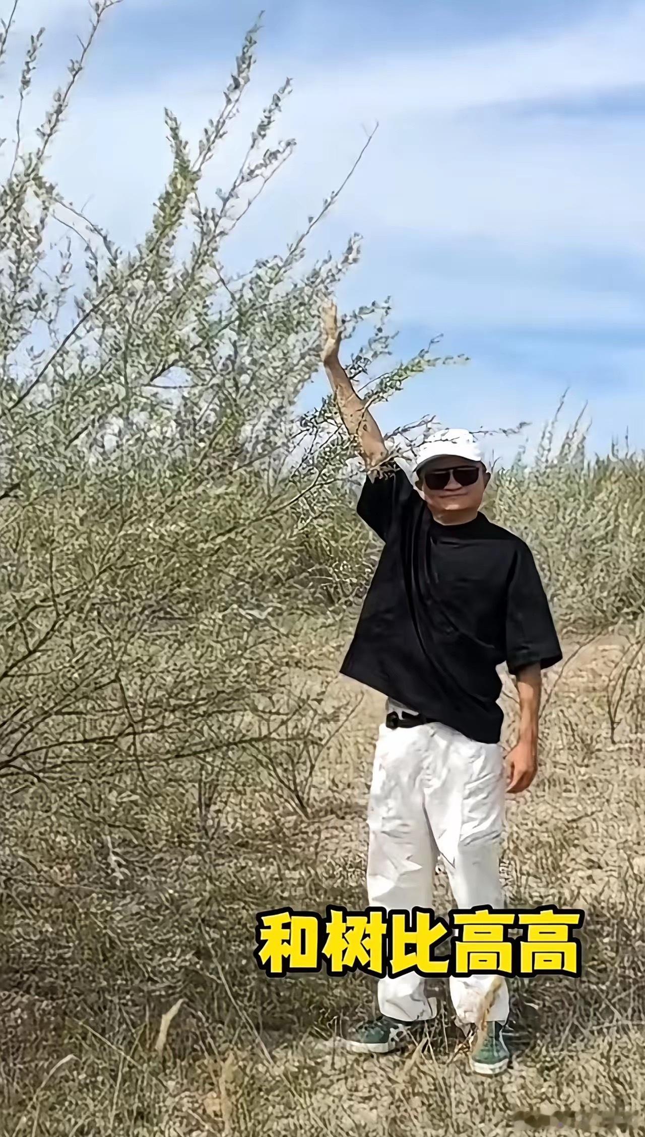 马云时隔六年再现身蚂蚁森林时隔六年，马云再回蚂蚁森林。六年前他带头在赤峰荒漠亲手