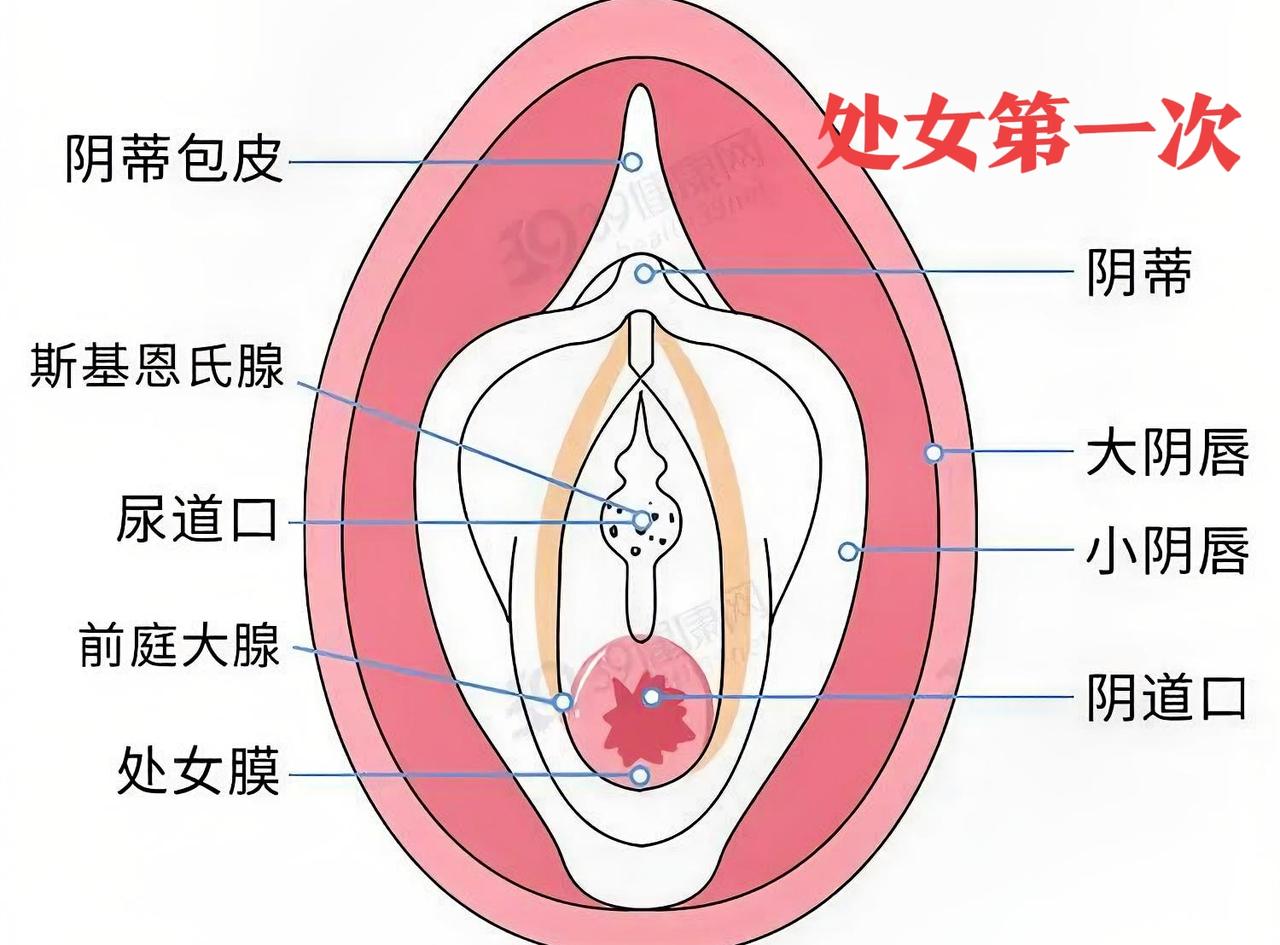 第一次没出血，男朋友当场变脸，我差点崩溃！女性第一次 女生第一次经历 处女第一次