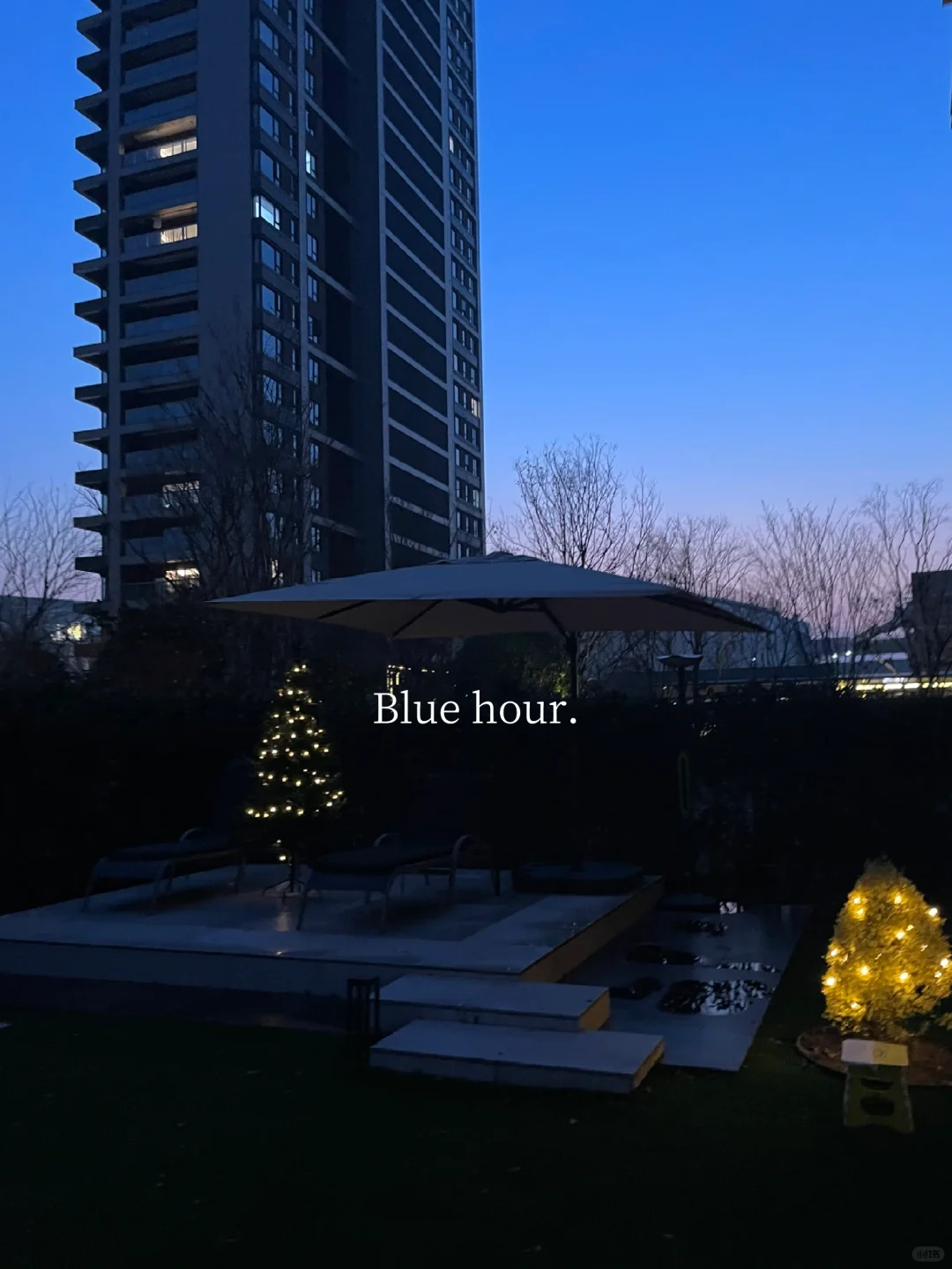 属于我家的「blue hour」💙
