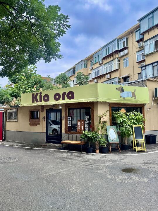 济南新开的！藏在巷子里的神仙咖啡小店