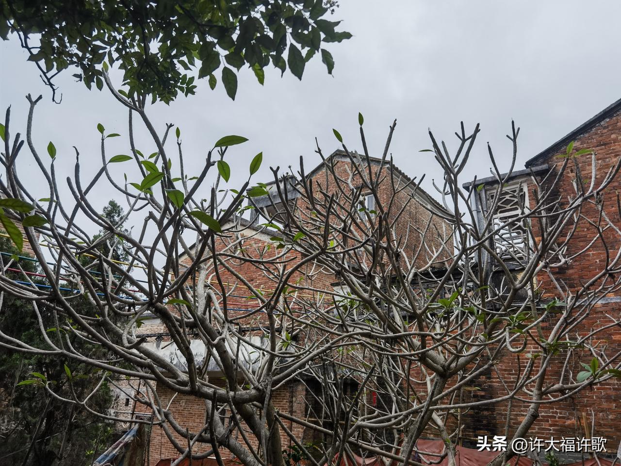 广东村屋的红砖外墙，藏着最真实的人间烟火——
 
    走在肇庆鼎湖区夏江村的