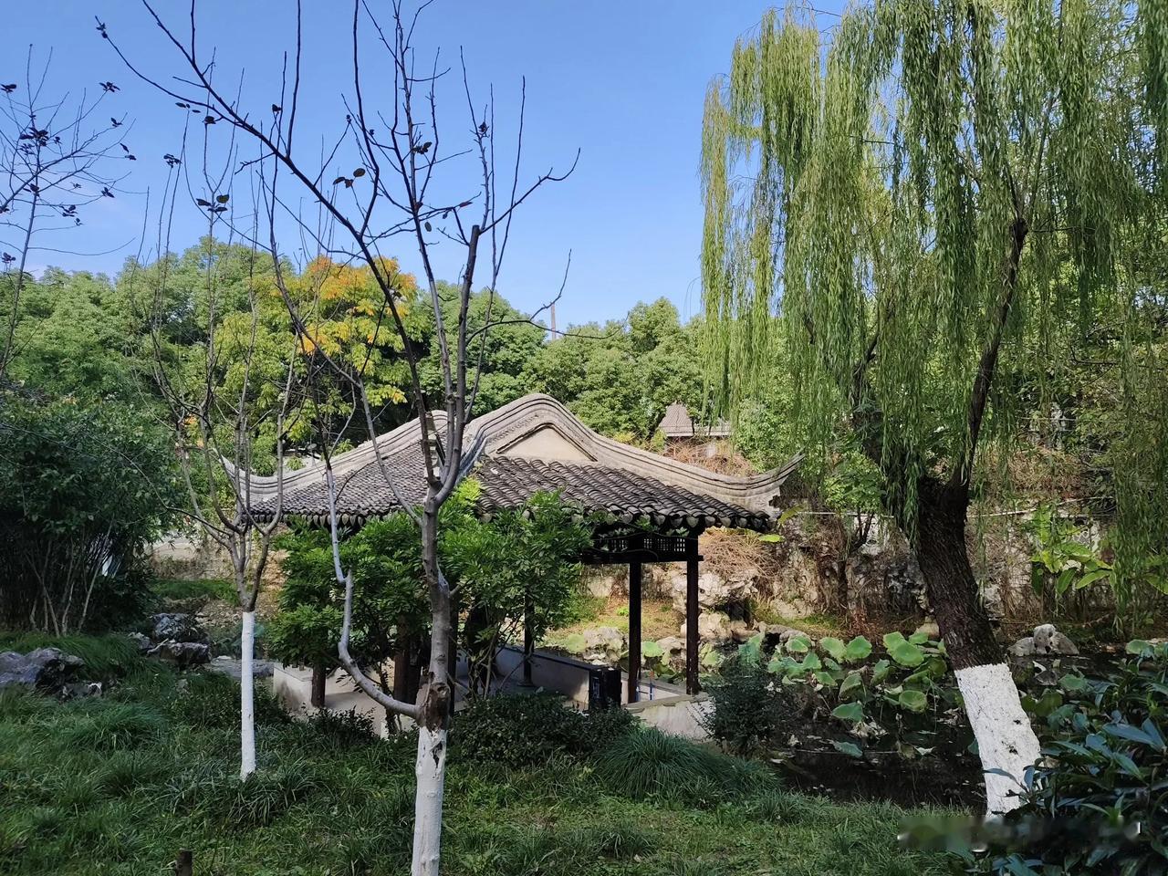 冬时
寒风扑面
树叶凋零
冬藏
春会来
迎着暖阳
生活温暖