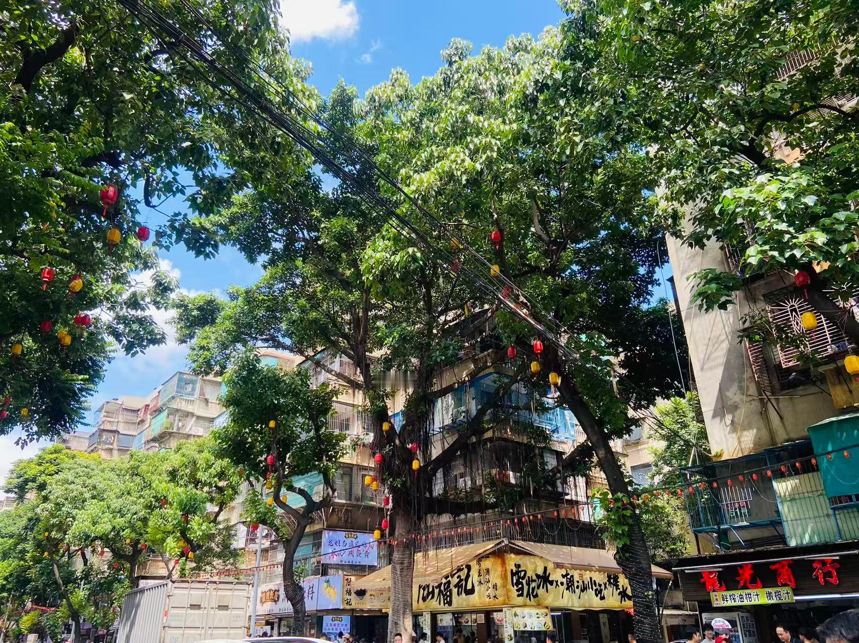 今天吃得太多热气的东西了，腻好想吃一碗白粥+空心菜～油柑汁有好多个价位，12元/