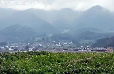 鹤庆县马厂：盛夏洋芋花开
         （ 图/罗瑞莲   文/张树忠）
 