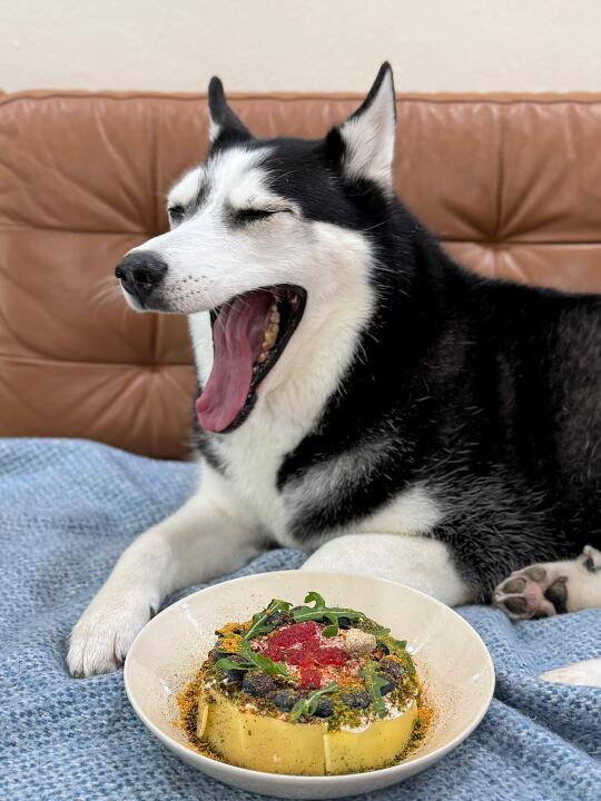 吃掉吃掉全吃掉