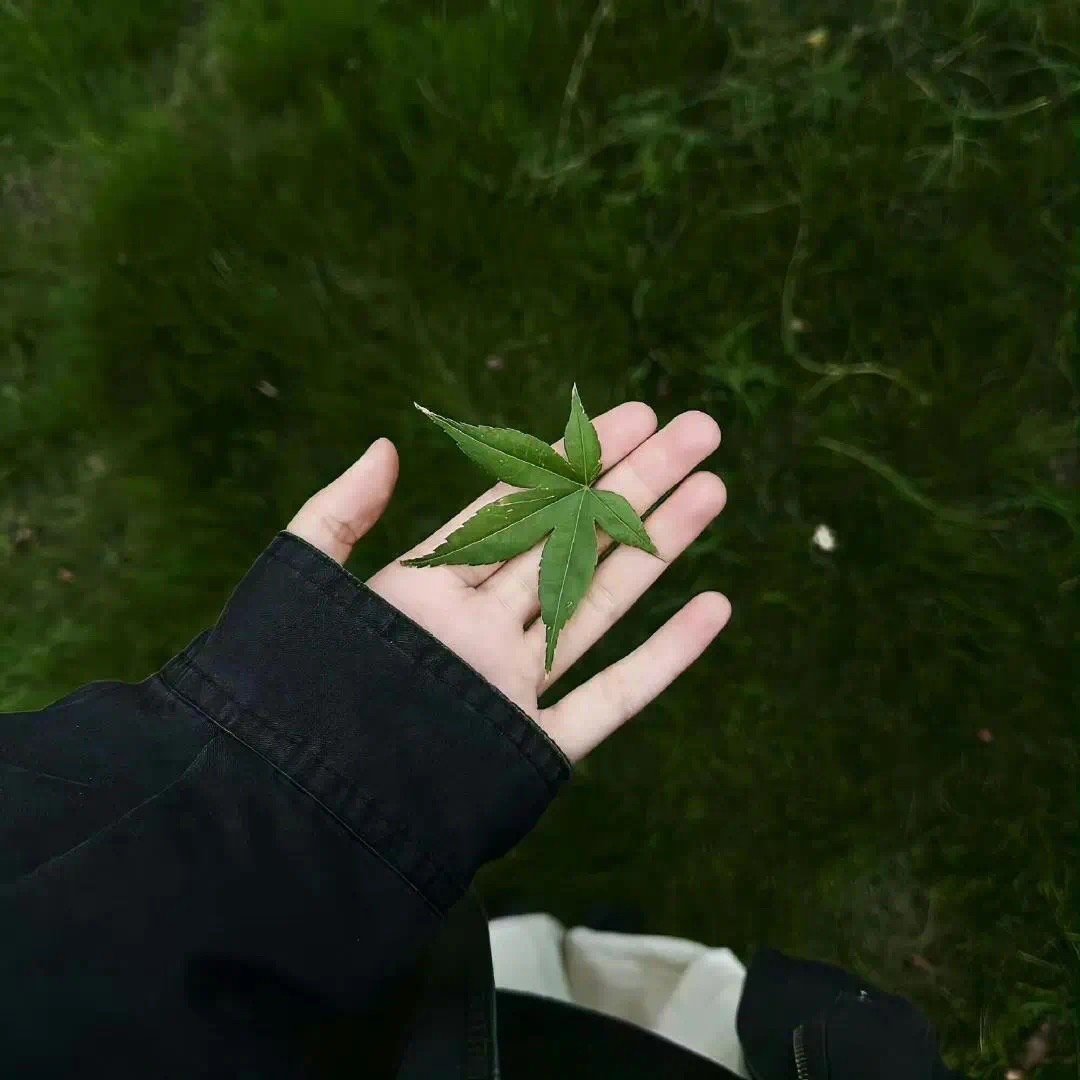 🗓𝕁𝕌𝕃𝕐. | 🔛七月加油 愿下半年 有努力 有收获  ​​​