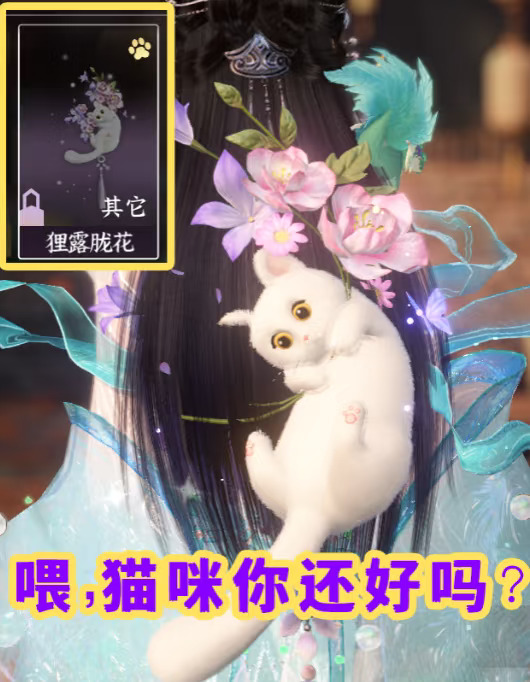 这猫猫好像有点不开心