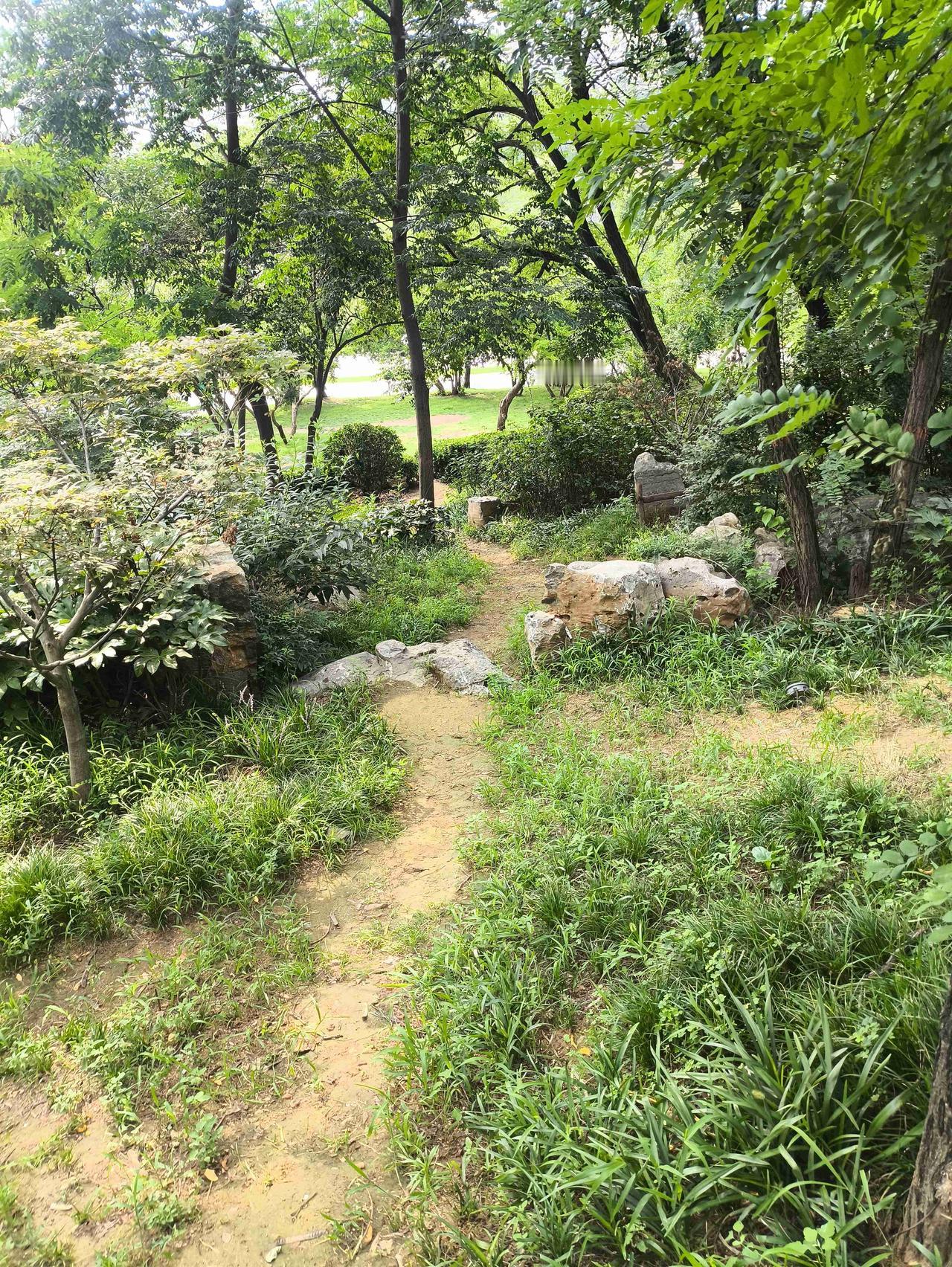 我的今日状态：😎自信酷炫
我这里的天气：🌈雨过天晴