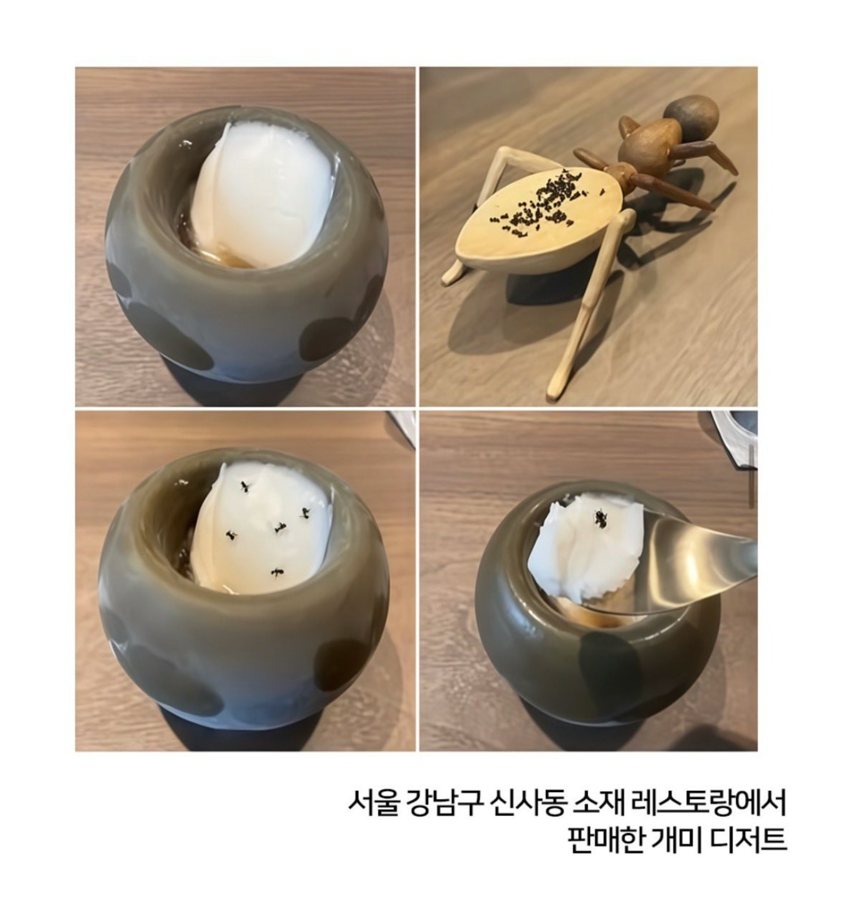 在甜点上撒蚂蚁，这家韩国米其林二星餐厅的做法着实令人咋舌。从美国、泰国进口的干制