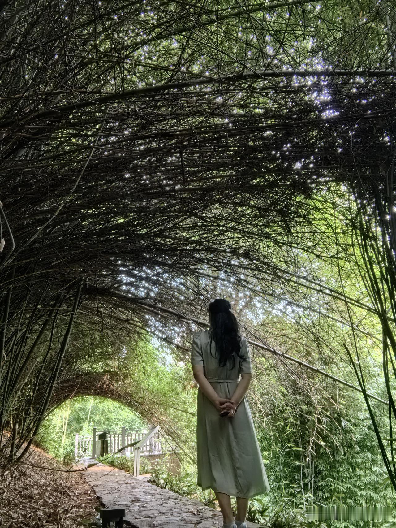 在长沙的住处离中南林业科技大学近。可步行前往青园小吃一条街。

吃得东西还真多。