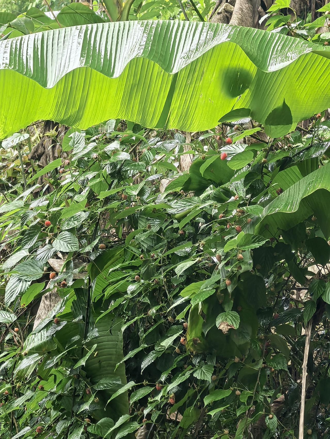 工作当中的经验教训真是学都学不尽。昨天跟一同事闲聊，聊了某个不重要的事情。因为该